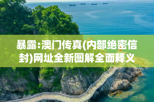 暴露:澳门传真(内部绝密信封)网址全新图解全面释义、解释与落实