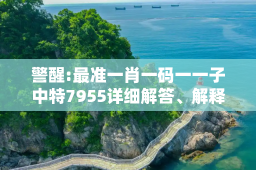 警醒:最准一肖一码一一子中特7955详细解答、解释与落实