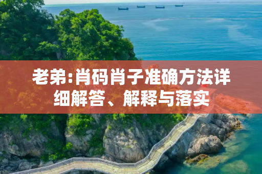 老弟:肖码肖子准确方法详细解答、解释与落实