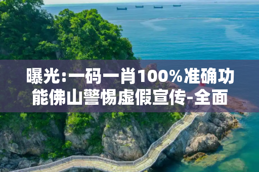 曝光:一码一肖100%准确功能佛山警惕虚假宣传-全面释义