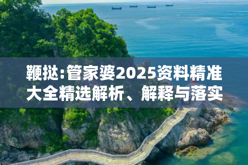 鞭挞:管家婆2025资料精准大全精选解析、解释与落实