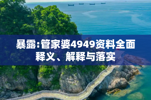 暴露:管家婆4949资料全面释义、解释与落实
