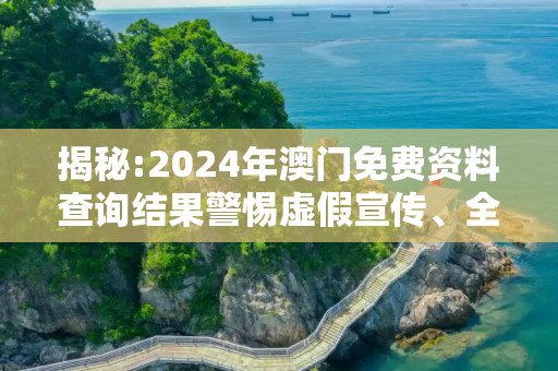 揭秘:2024年澳门免费资料查询结果警惕虚假宣传、全面解答与解释