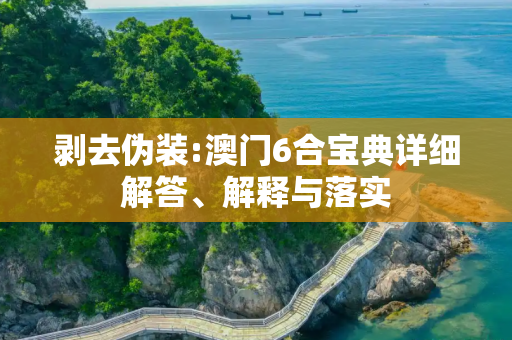 剥去伪装:澳门6合宝典详细解答、解释与落实