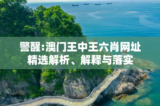 警醒:澳门王中王六肖网址精选解析、解释与落实