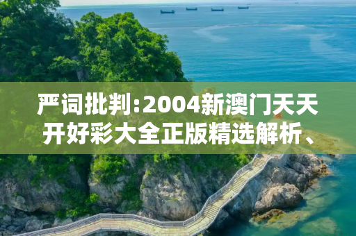 严词批判:2004新澳门天天开好彩大全正版精选解析、解释与落实