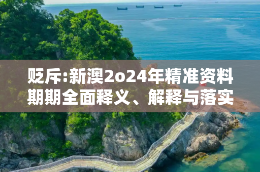 贬斥:新澳2o24年精准资料期期全面释义、解释与落实