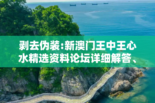 剥去伪装:新澳门王中王心水精选资料论坛详细解答、解释与落实
