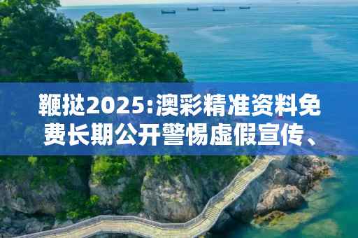鞭挞2025:澳彩精准资料免费长期公开警惕虚假宣传、全面解答与解释
