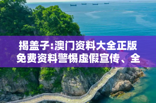 揭盖子:澳门资料大全正版免费资料警惕虚假宣传、全面解答与解释