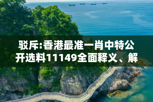 驳斥:香港最准一肖中特公开选料11149全面释义、解释与落实