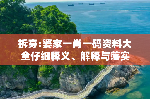 拆穿:婆家一肖一码资料大全仔细释义、解释与落实
