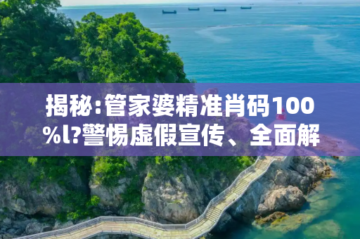 揭秘:管家婆精准肖码100%l?警惕虚假宣传、全面解答与解释