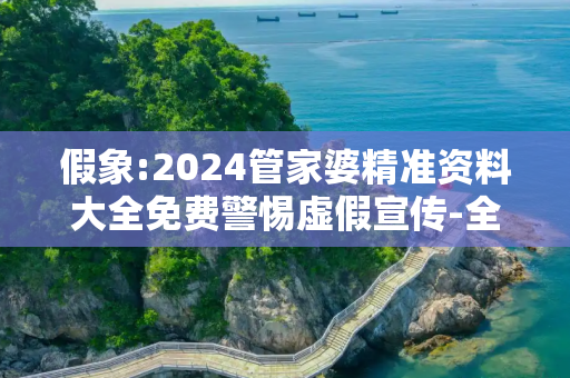 假象:2024管家婆精准资料大全免费警惕虚假宣传-全面释义