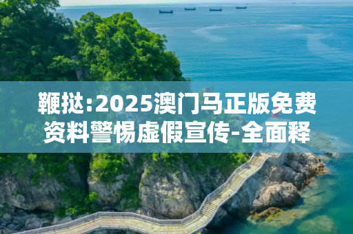 鞭挞:2025澳门马正版免费资料警惕虚假宣传-全面释义、解释与落实
