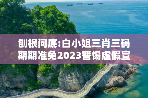 刨根问底:白小姐三肖三码期期准免2023警惕虚假宣传、全面解答