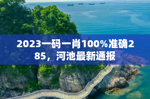 2023一码一肖100%准确285，河池最新通报